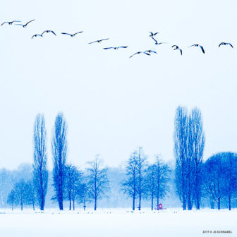 jgs_170108_09491_586px