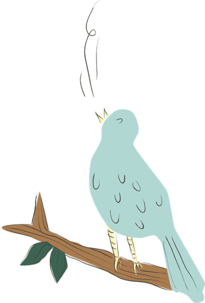 bird-616803_640