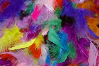feathers-1128204_1920