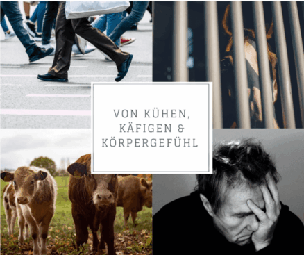 modern-reise-schlicht-collage-facebook-post